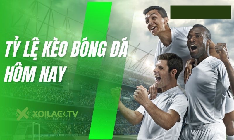 Sơ lược về tỷ lệ kèo tại website BongnhuaTV